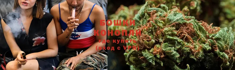 Каннабис OG Kush  Западная Двина 